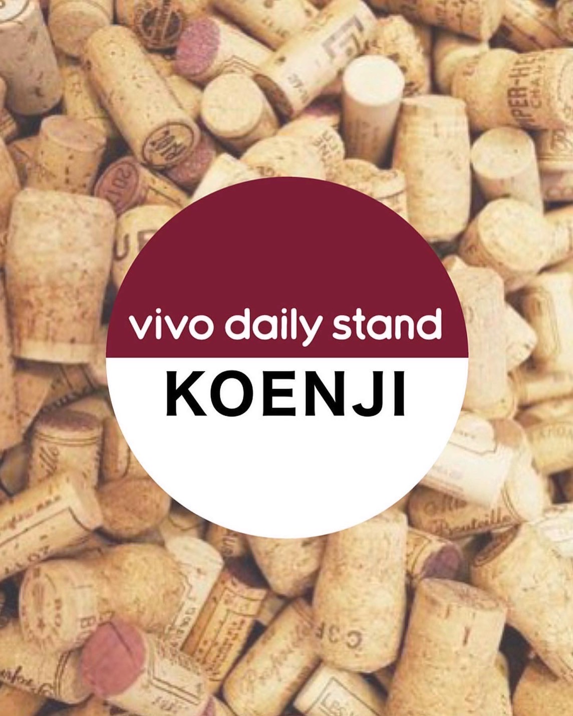 vivo daily stand